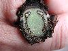 image of Diplazium hians