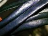 image of Microsorum thailandicum