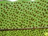 image of Drynaria heraclea