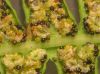 image of Thelypteris palustris