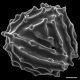 image of Anemia hirsuta