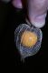 image of Physalis 