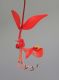 image of Amherstia nobilis