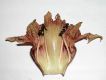 image of Crescentia cujete