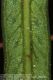 image of Campyloneurum angustifolium