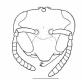 image of Charterginus fulvus