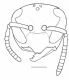 image of Epipona guerini