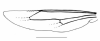 image of Marimbonda albogrisea