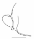 image of Apoica pallens