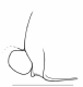 image of Polybia bistriata