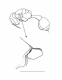 image of Epipona guerini