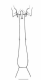 image of Mischocyttarus rotundicollis