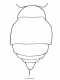 image of Polybia depressa