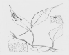 image of Microgramma 